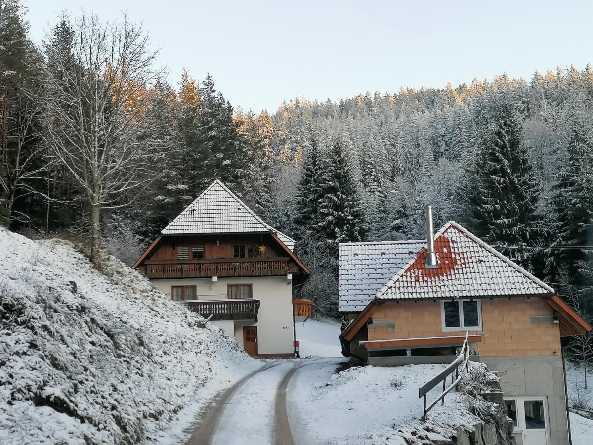 Ferienwohungen Im Kuchersbach Hornberg Exterior photo